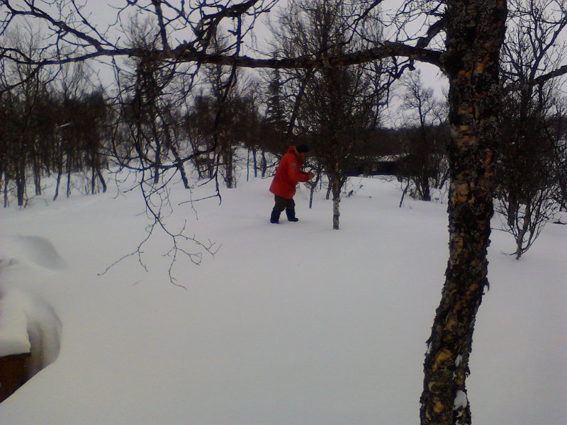 IMG_20120408_145738.jpg - Vi hengte opp meiseboller til småfuglene