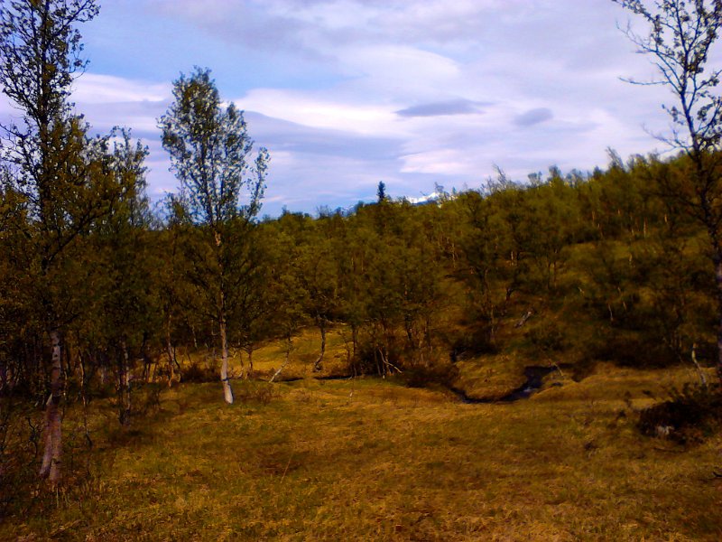 IMG_20120623_150418.jpg - På tur mot Litlvola