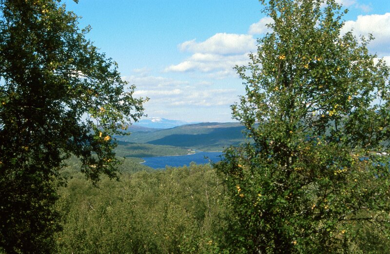 234_10.jpg