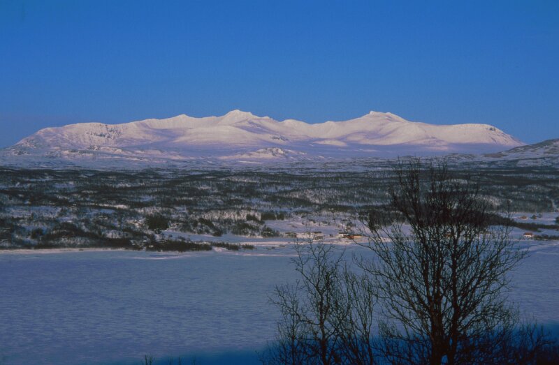 238_02 - copy.jpg