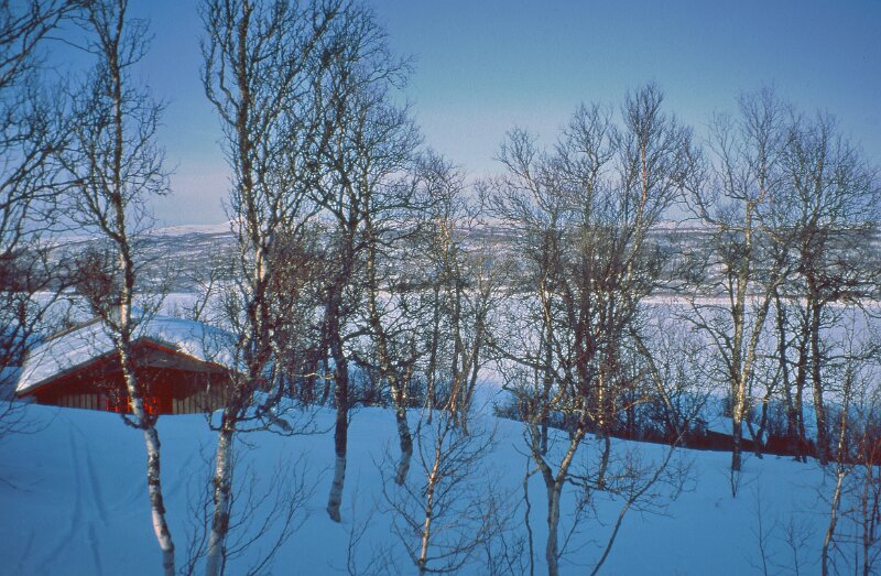 238_04.jpg