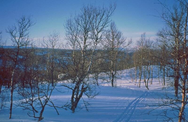 238_06.jpg