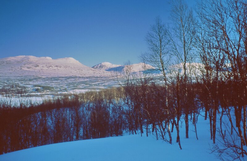 238_07.jpg