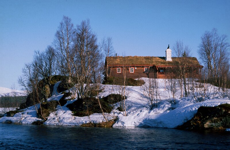 240_49.jpg