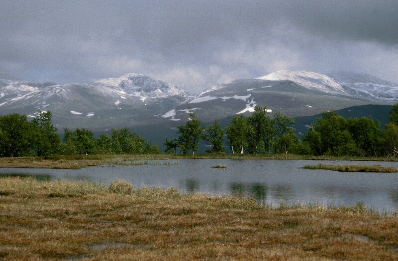 241_01.jpg