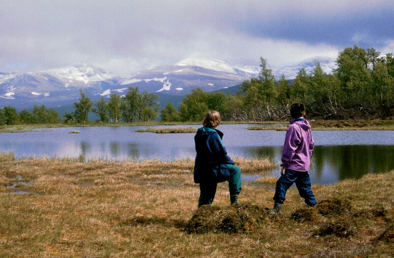 241_02.jpg