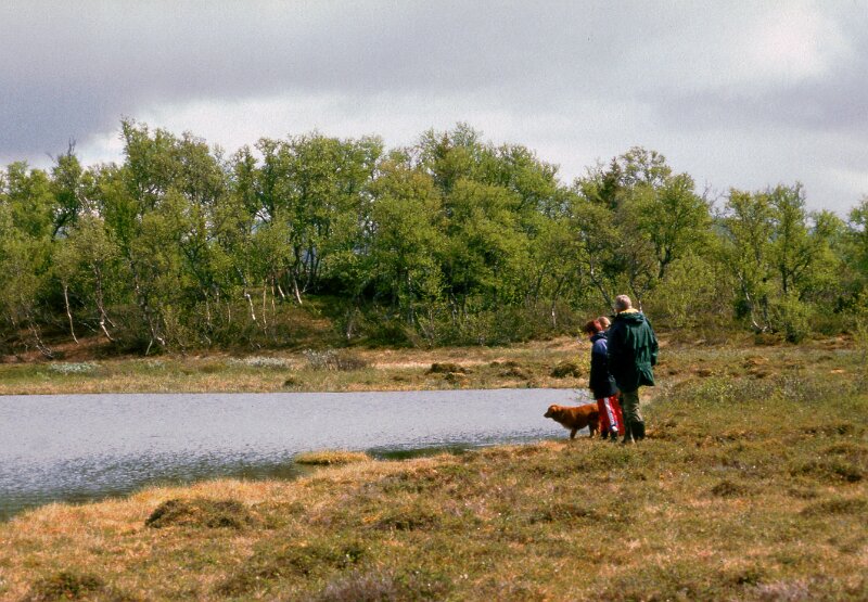 241_04.jpg