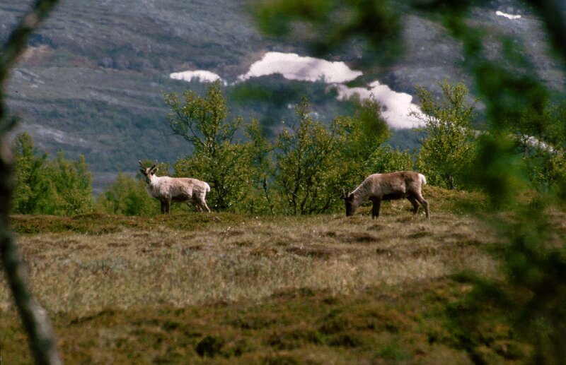 241_06.jpg