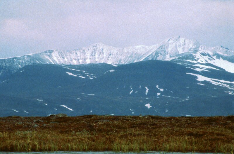 241_18.jpg