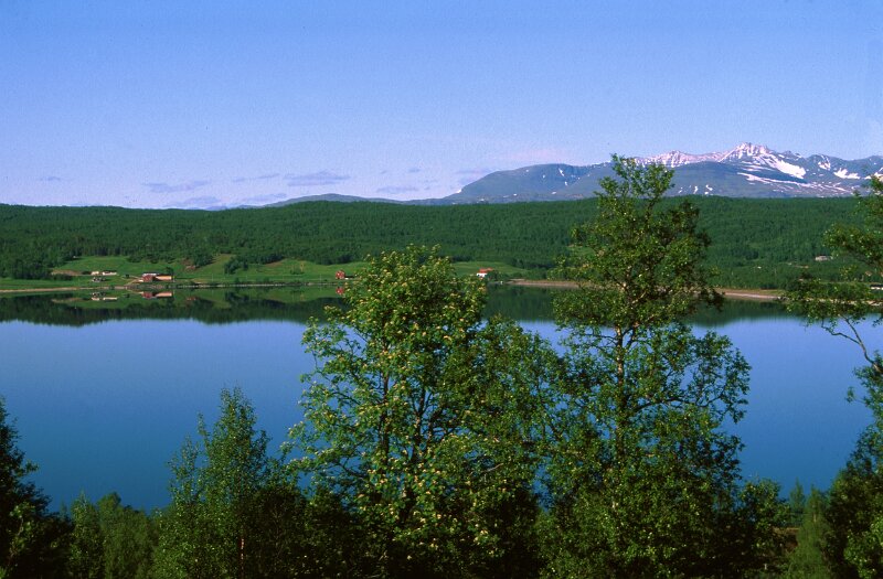 241_23.jpg