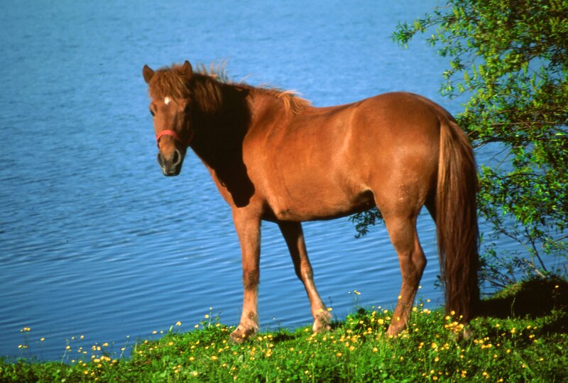 241_27 - copy.jpg