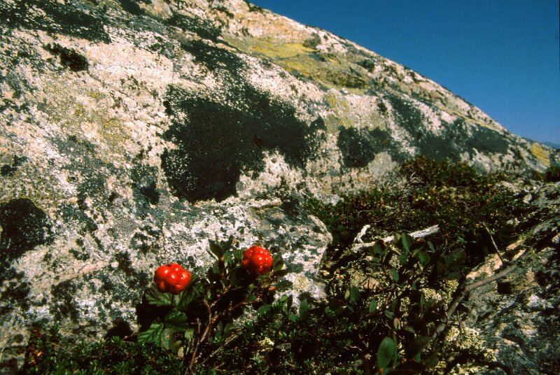 243_01.jpg