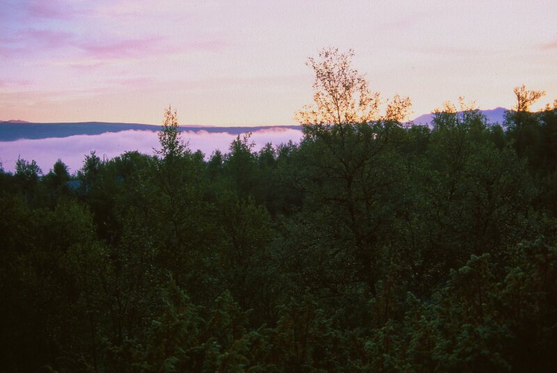243_06.jpg