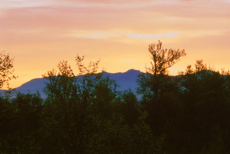 243_07.jpg