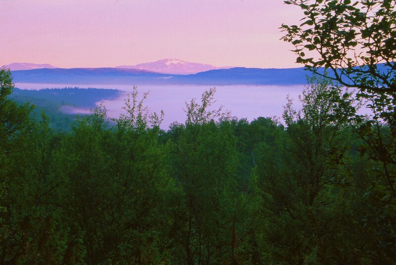 243_08.jpg