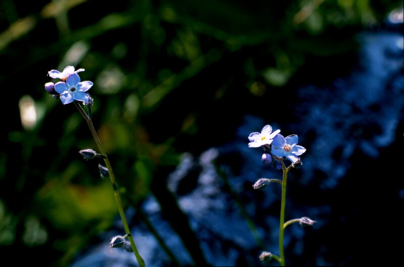 243_17 - copy.jpg