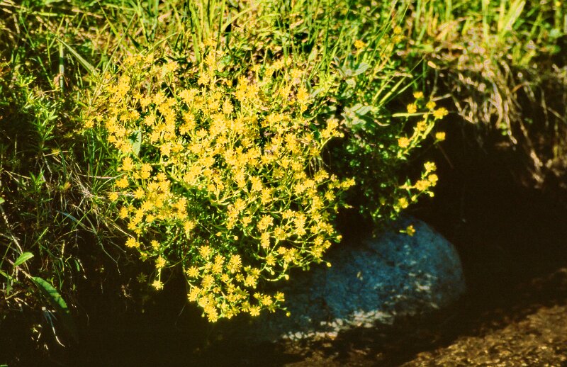 243_23.jpg