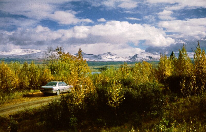 243_29.jpg