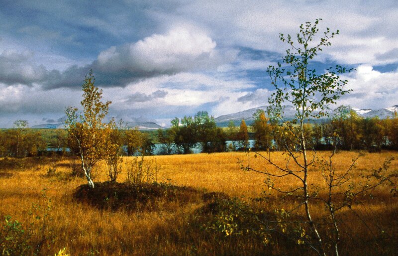 243_31 - copy.jpg