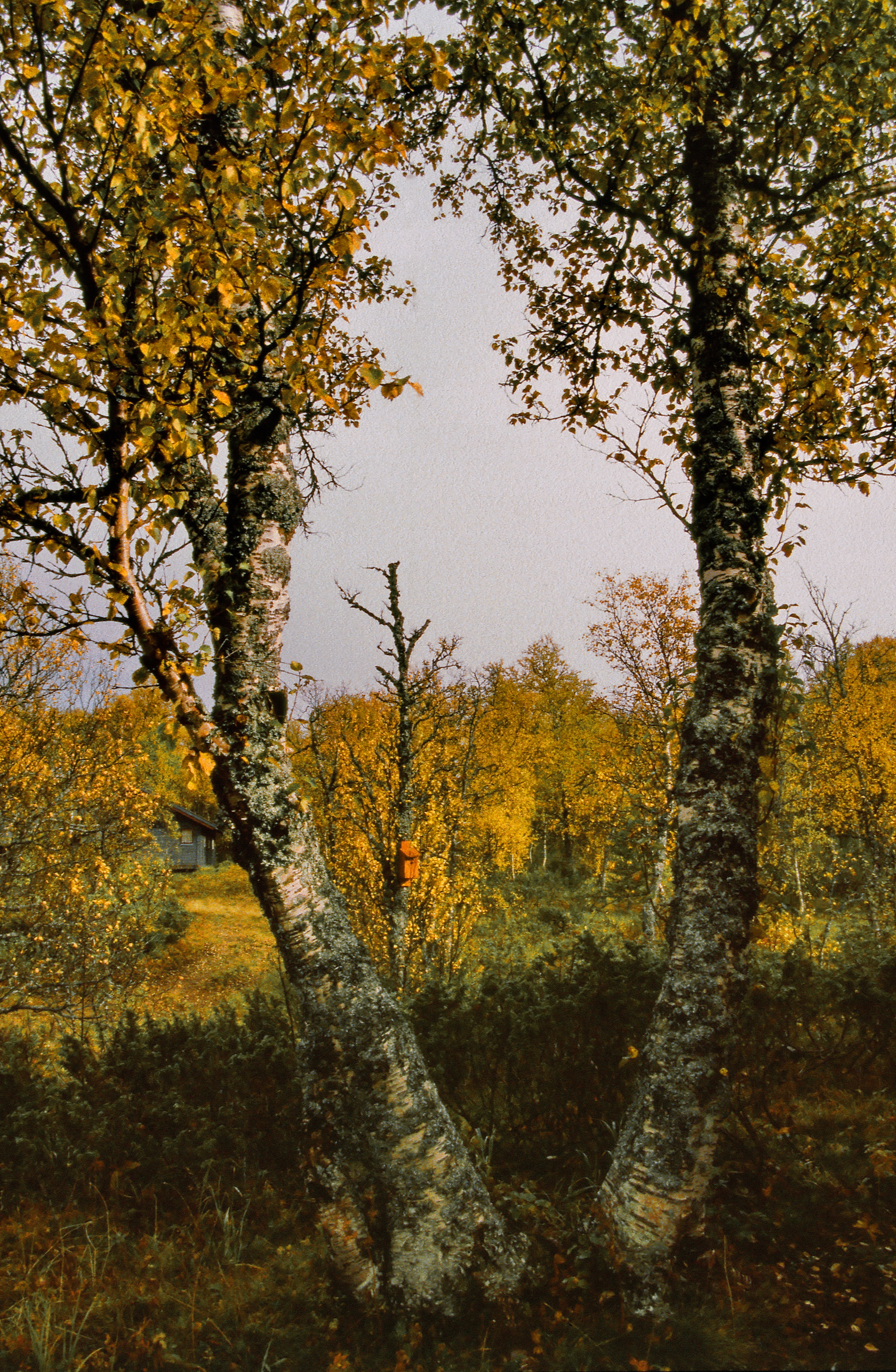 243_33.jpg
