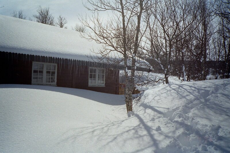 PICT1536.JPG