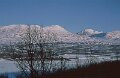 238_05 - copy