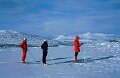 238_10 - copy