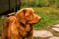 241_10 - copy