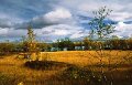 243_31 - copy