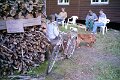 PICT0967