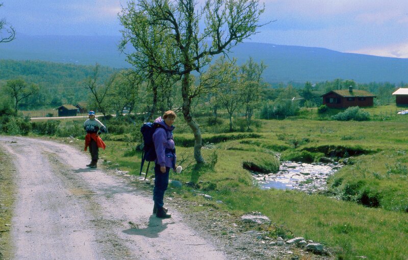 249_05.jpg