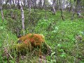 Img_0388