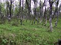 Img_0389