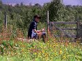 Img_0445