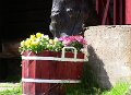Img_0447