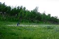 Imgp6859