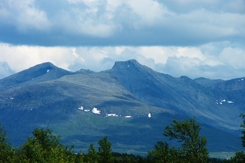 IMGP3167.jpg