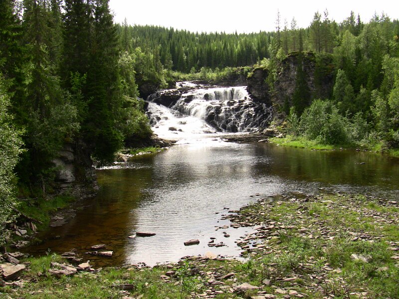 Img_0605.jpg