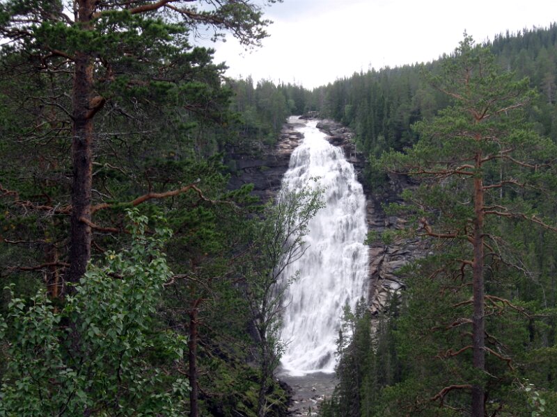 Img_1392.jpg
