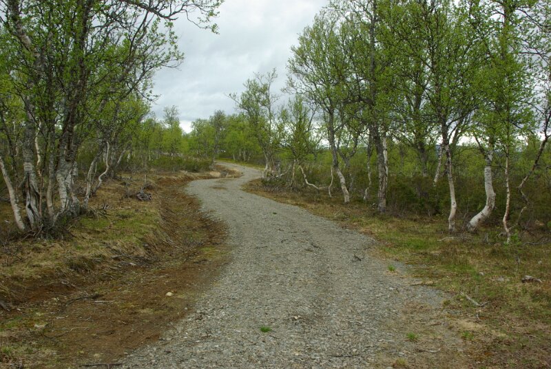 Imgp7293.jpg