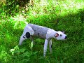 Img_0595
