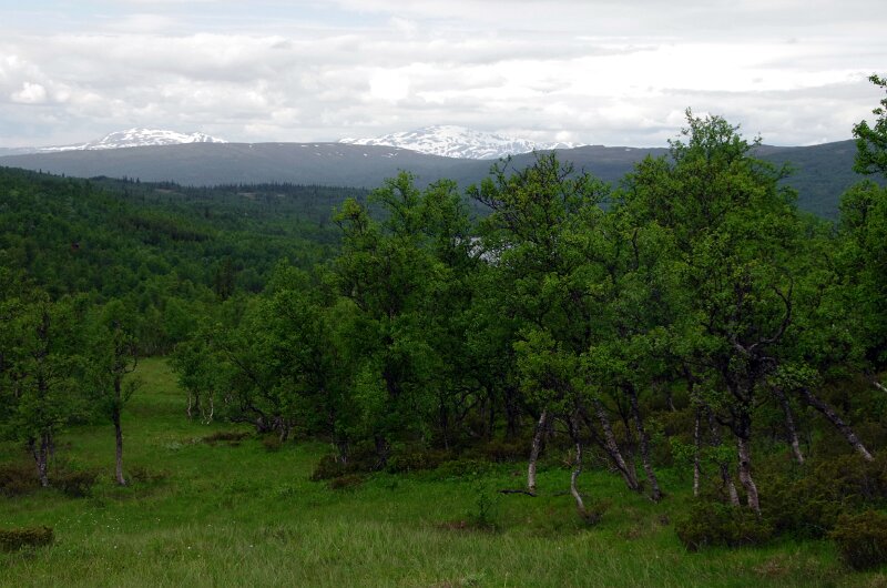 IMGP1274.JPG