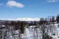 IMGP0189