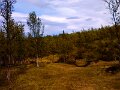IMG_20120623_150418