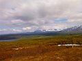 IMG_20120624_130324