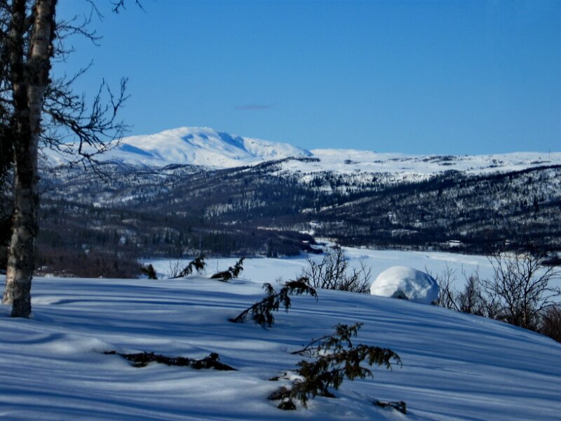 Img_3162.jpg