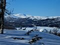 Img_3162