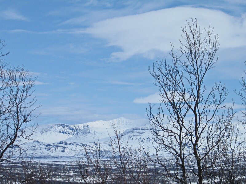 Img_3972.jpg