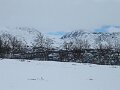 Img_3934