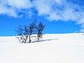 Img_0213